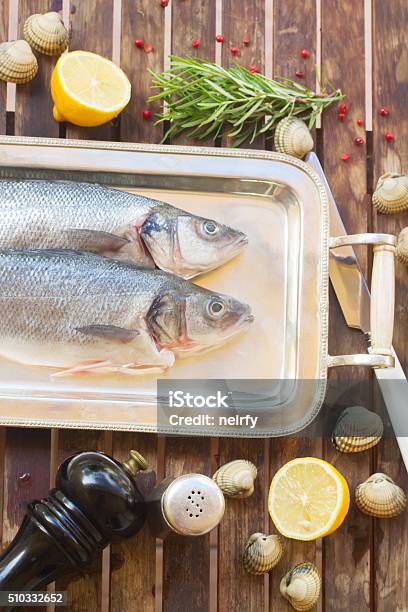 Seabass Stock Photo - Download Image Now - Europe, Food, Freshness