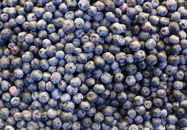 istock Freshly picked blueberries on market stall close up 510332786