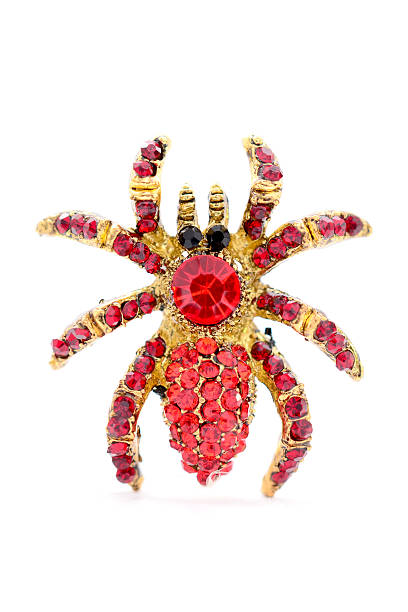 istock golden spider brooch with rubies 510332962