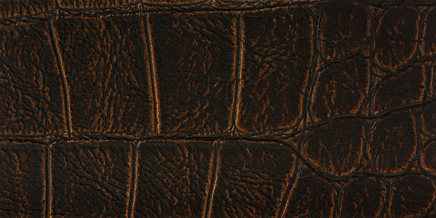 istock Surface of the wallpaper is beautiful. 510333551