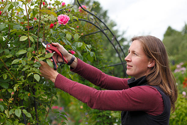 istock Gardening woman 510334069