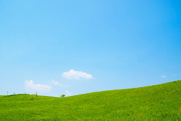 istock Blue sky and early summer grassland 510334375