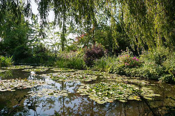 istock Garden of Claude Monet (XXXLarge) 510334437
