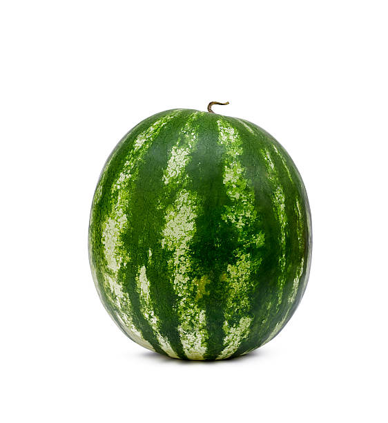 melón de agua sobre un fondo blanco - watermelon full length isolated circle fotografías e imágenes de stock