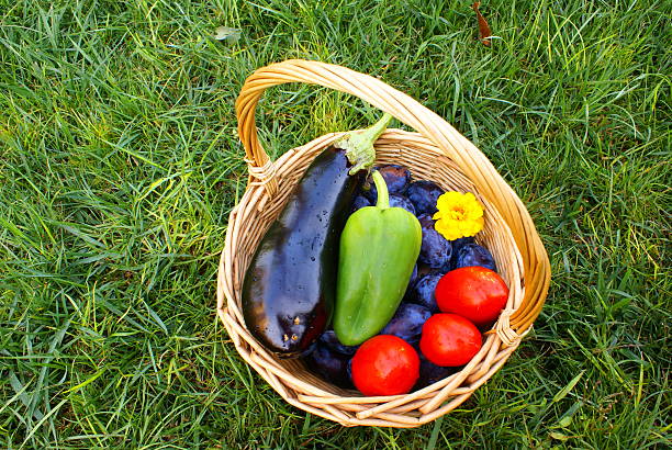 panier avec des fruits et légumes, sur l'herbe isolé. - eggplant vegetable food close up photos et images de collection