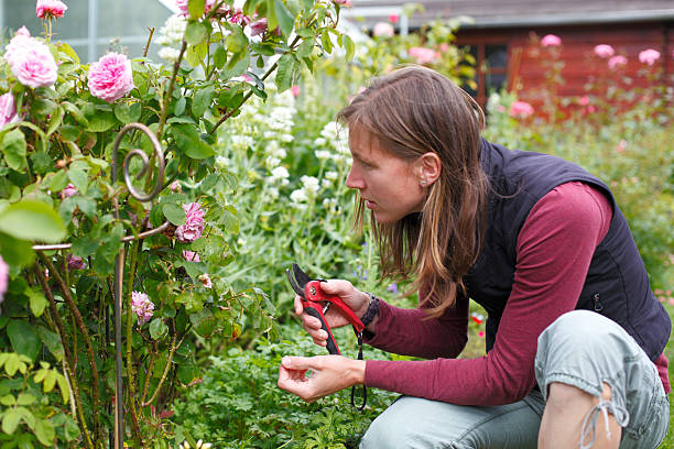 istock Gardening woman 510335947