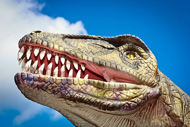 istock Head of Dinosaur 510336185