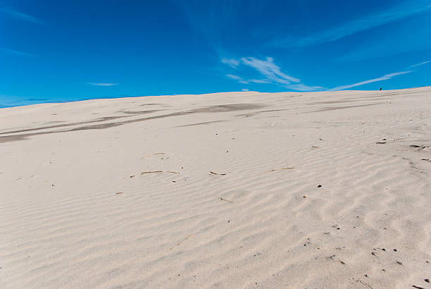 istock Rabjerg Mile, Skagen 510337599
