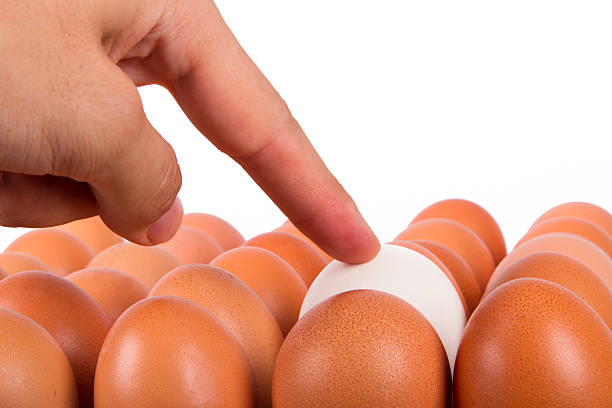 istock Male Hand Choosing White Egg 510337715