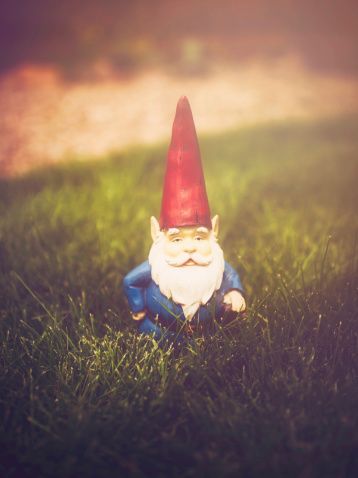 Garden Gnome in Grass