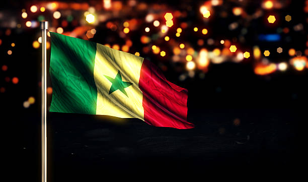 istock Senegal National Flag City Light Night Bokeh Background 3D 510352193