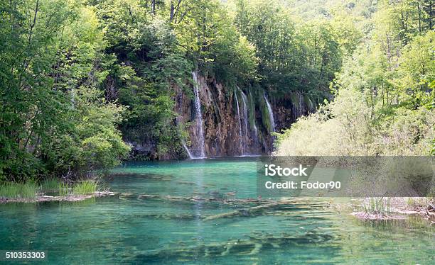 Waterfall Stock Photo - Download Image Now - Beauty In Nature, Blurred Motion, Branch - Plant Part