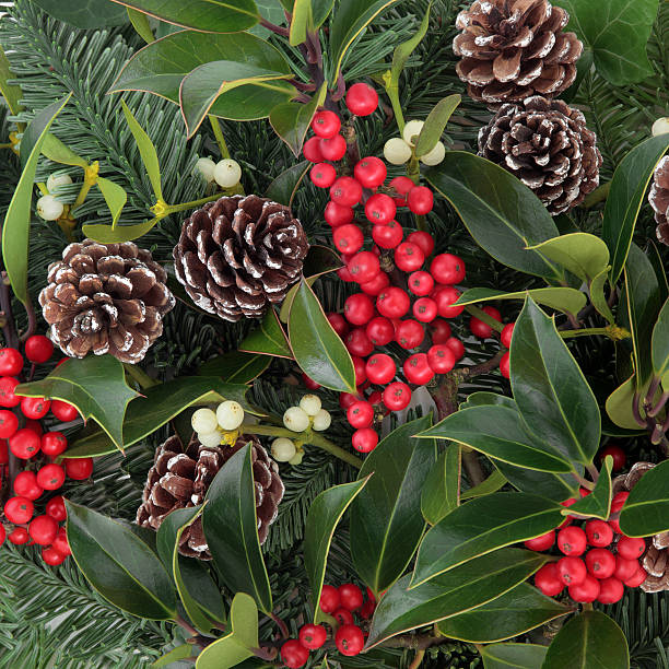 istock Winterberry Holly 510353395