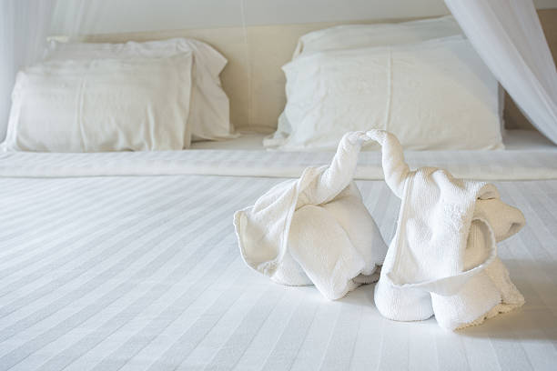 istock two nice towels elephant on white bed sheet 510353675