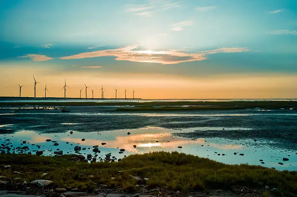 Wind turbines generating electricity on the shore
