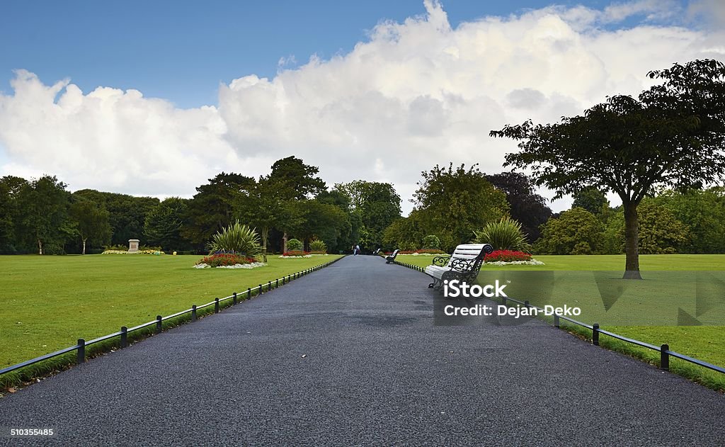 Road Through Heaven A Road Through Heaven Phoenix Park - Dublin Stock Photo