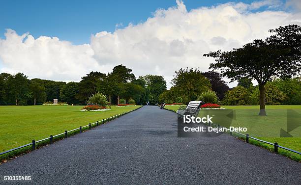 Road Through Heaven Stock Photo - Download Image Now - Phoenix Park - Dublin, Dublin - Ireland, Asphalt