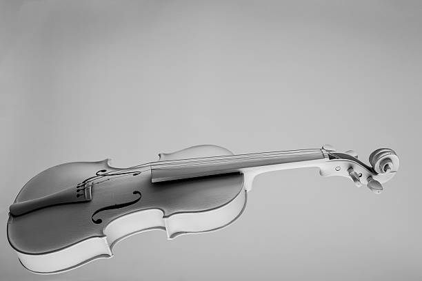 istock White Violin in Black&White 510356149