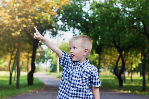 cute little boy showing a forefinger (pointing up) the sun or the sky in beautiful autumn park