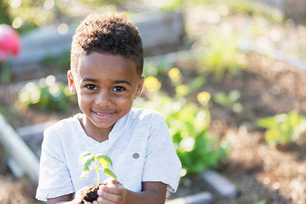 plántula sweet little boy retención - vegetable garden planting environment human hand fotografías e imágenes de stock