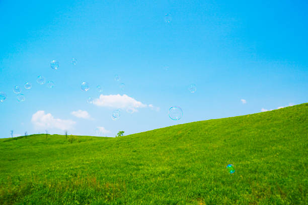 Clear blue sky filled with lot of soap bubbles that travel through the air. Shallow depth of field.