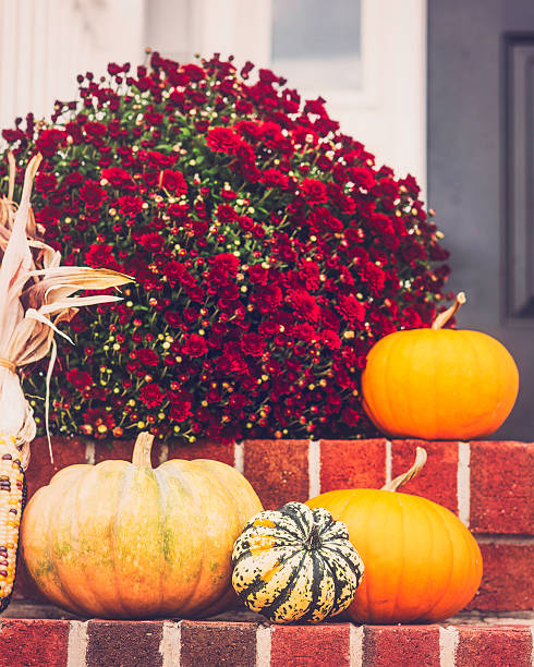 décor de l'automne sur le perron - front stoop photos et images de collection