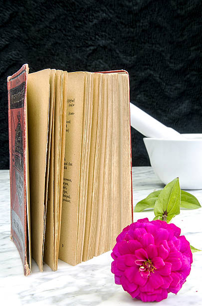altes buch mit roten binden und blume - picture book book old leather stock-fotos und bilder