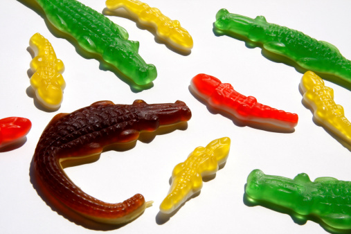 Jelly candy crocodiles  on white background
