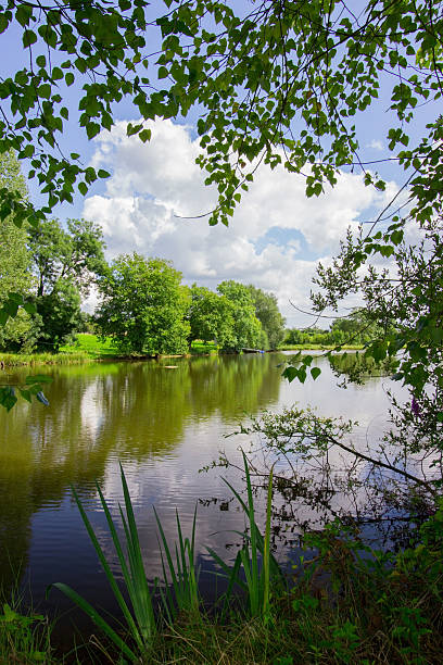 istock lake in the nature and blue sky 510375673