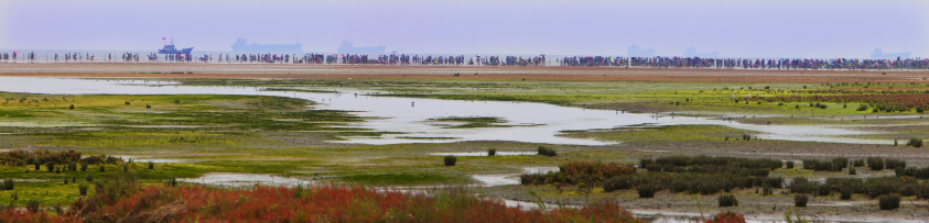Tourists amass at a beach near East China Sea. Cargo ships are in a distance. Wetlands are in the foreground.