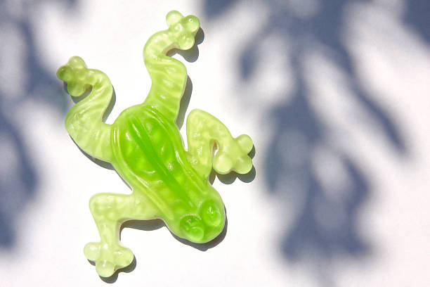 Jelly candy frogs on white background