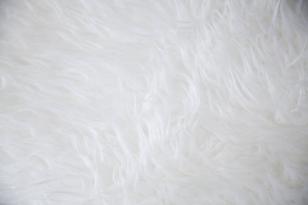 istock white sheepskin rug texture 510378409