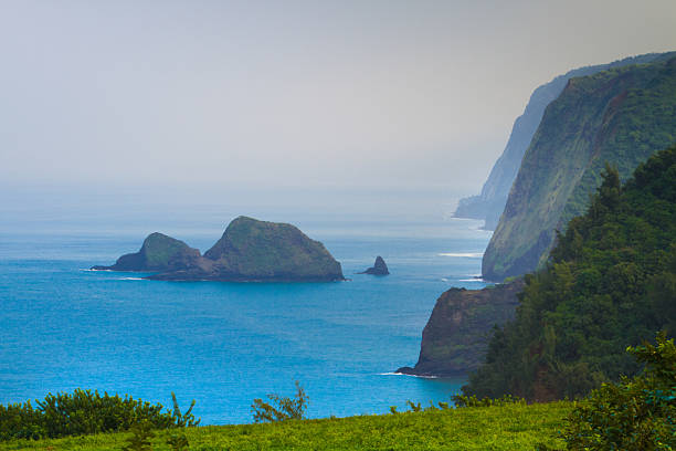 pololu 밸리 전망대 - cliff at the edge of grass sea 뉴스 사진 이미지