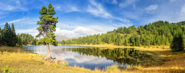 schwarzsee wunderschönen alpin see in den österreichischen alpen - alpin stock-fotos und bilder