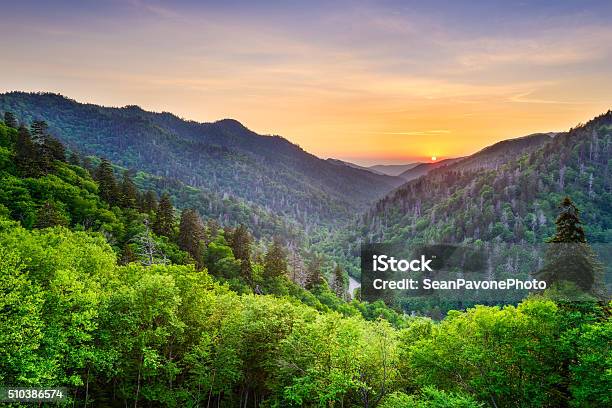 Neu Gewonnene Lücke In Den Rauchigen Berge Stockfoto und mehr Bilder von Nationalpark Great Smoky Mountains - Nationalpark Great Smoky Mountains, Great Smoky Mountains, Tennessee