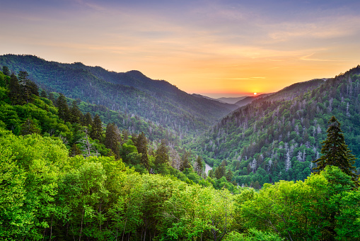 View at sunset over the autumnal leaf coloured forests near Mirror Lake, Lake Placid. The ski lift is visible.