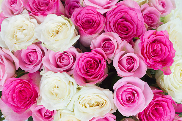 istock bouquet of fresh roses 510388364