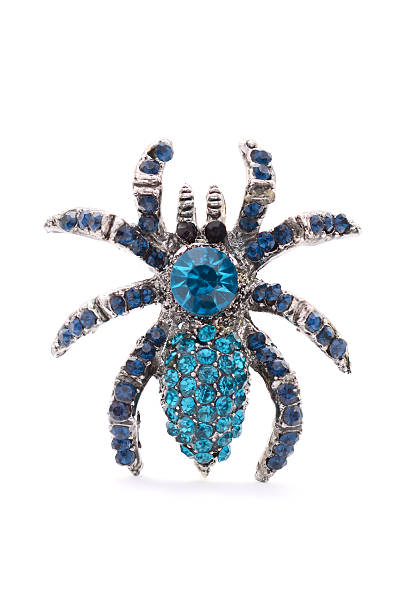 istock spider brooch isolated on white background 510388734