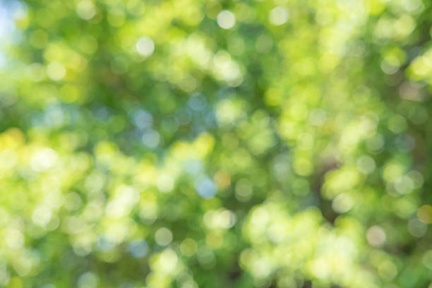 istock green nature blurred with bokeh abstract background 510388888