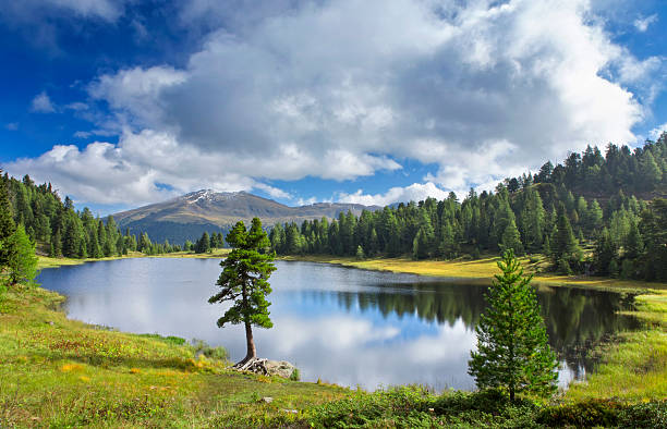 schwarzsee красивые alpin озеро в австрийских альпах - alpin стоковые фото и изображения