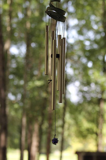istock Wasp in the Wind Chimes 510391563