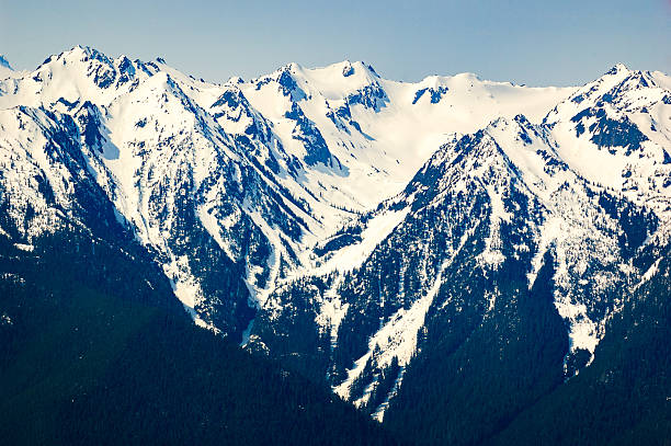 istock Hurricane Ridge, Olympic National Park 510392752