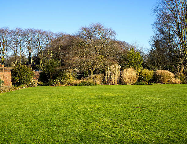 istock Winter Garden 510393048