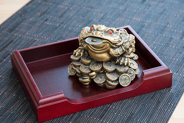 istock Money frog 510393207