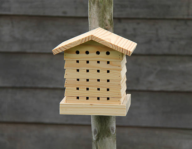 istock Wooden Insect House. 510393650