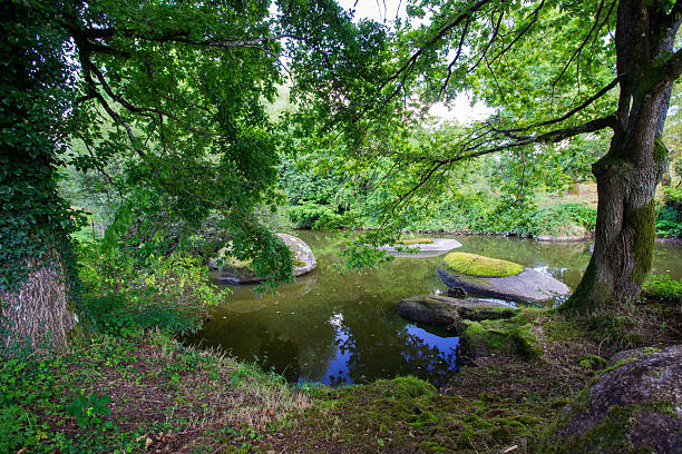 istock lake in the nature and blue sky 510393713