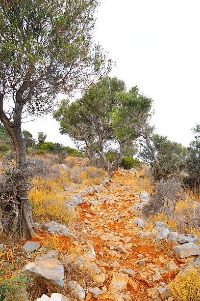 Summer mountain landscape near Malia in Crete, Greece.
