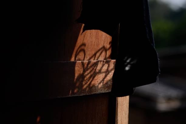 istock The Old Wooden Door With Dramatic light 510395071