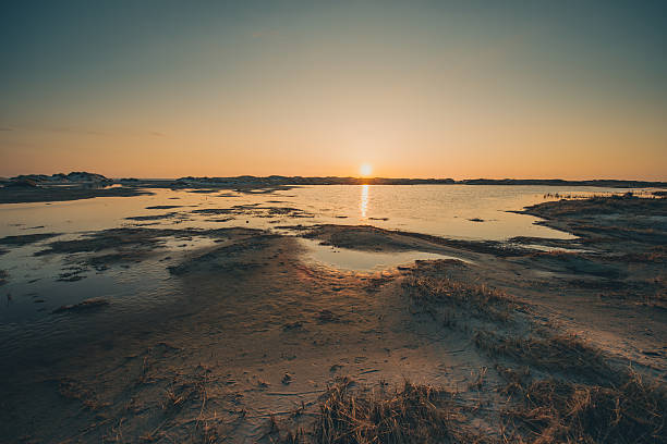 istock Sunset on the beach 510395306