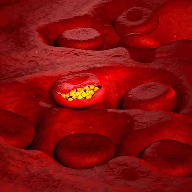 istock Malaria Virus Cell - 3D illustration 510395719